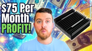 How Profitable is the IceRiver AL0 Alephium Miner Full Review amp Setup [upl. by Trinee728]