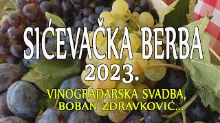 SIĆEVAČKA BERBA 2023  VINOGRADARSKA SVADBA  BOBAN ZDRAVKOVIĆ [upl. by Hedelman386]