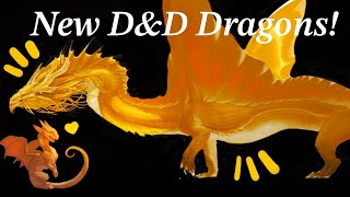 reacting to the NEW DampD dragons  2024 DampD Dragon Redesigns [upl. by Brechtel29]