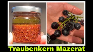 Traubenkernöl einfach selber machen  Mazerat aus Traubenkern  Selbstversorgung Naturkosmetik [upl. by Harrison]