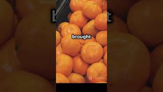 Why Are Oranges Called Oranges 🍊 [upl. by Irehc375]