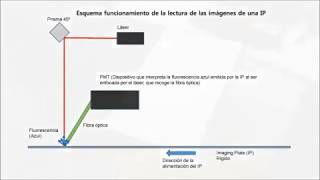 4DCR Radiología Digital Indirecta Funcionamiento IP [upl. by Kaczer646]