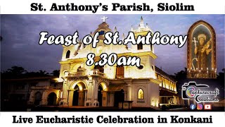 Feast Day Konkani Mass Live at 830am 16th June 2024  St Anthonys Church Siolim [upl. by Hacim868]