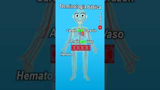 Terminología médica  Terminología de enfermería  Terminología de ciencias de la salud [upl. by Luar753]