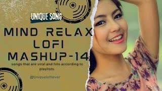 💕Mind Relaxing Love Songs 2024  Mind Relax Lofi Mashup 2024  Hindi Mind relaxing song Part [upl. by Norling]