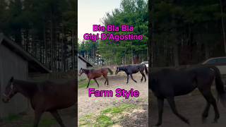 Bla Bla Bla Gigi DAgostino 🎶🚜 Farm Remix farmlife horses funnyanimals [upl. by Eatnom]