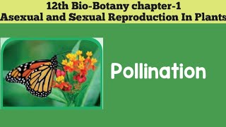 12th biobotany chapter1 Asexual And Sexual Reproduction In Plants POLLINATION 12th SCERT [upl. by Haddad]