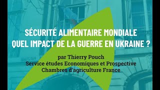 Sécurité alimentaire mondiale  quel impact de la guerre en Ukraine [upl. by Frasco]