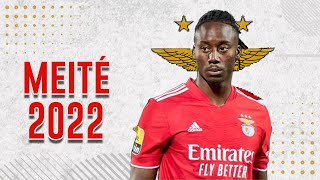 meite benfica BEST MOMENTS 2022 [upl. by Zeiger955]