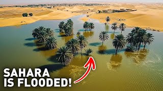 Sahara Desert Was Dry for 50 Years Now Its Flooded How Come [upl. by Ennovaj]