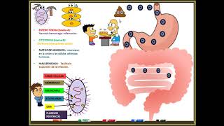 Clostridium Difficile [upl. by Gilroy]