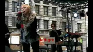 Blondie LIVE  part 03   NYC 2004 [upl. by Mccourt]