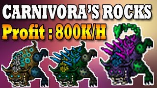 CARNIVORAS ROCKS  800K PROFIT 😲  Tibia [upl. by Hteik832]