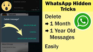 How to Delete 1 Year Old WhatsApp Message for Everyone  Delete from Both Sides in Whatsapp [upl. by Rramel]