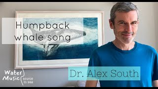 Humpback Whale Song with Dr Alex South [upl. by Anaylil295]