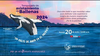 Temporada de avistamiento de ballenas en Colombia [upl. by Sorac882]