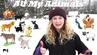 Feeding all my Animals Treats in ONE Video [upl. by Basham]