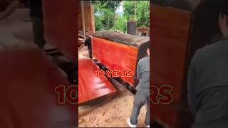 Red Sandalwood Farming 🤯  Costliest Tree 🤑  HintsForEver [upl. by Kawasaki]