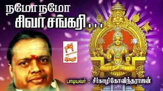 Seergali Govindarajan Devotional Song Namo Namo Siva Sankari நமோ நமோ சிவ சங்கரி [upl. by Robbert362]