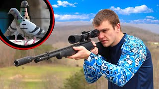 Scope Cam Hunting Pigeons with Suppressed Pellet Gun [upl. by Aihsenod]