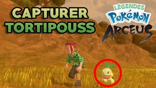 Comment Capturer TORTIPOUSS sur Légendes Pokémon Arceus [upl. by Zilevi489]