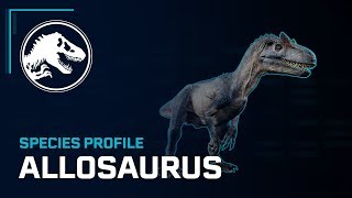 Species Profile  Allosaurus [upl. by Annavahs245]