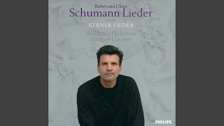 C Schumann 3 Lieder Op 12  2 Liebst du um Schönheit [upl. by Llesirg]