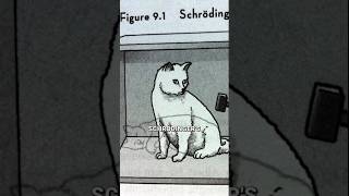 Schrödinger’s Cat Paradox shorts [upl. by Desmund]