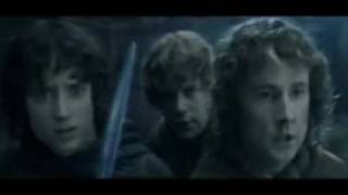 Lord of the Rings  Fellowship of the Vuvuzela Portuguese Subs [upl. by Angelia]