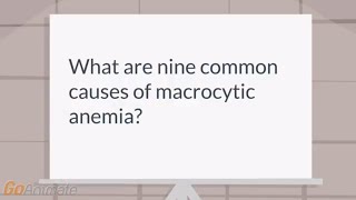 What are the causes of macrocytic anemia [upl. by Alley]