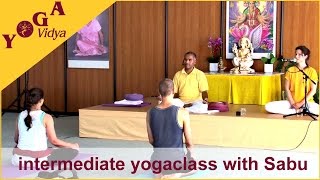 Intermediatelevel Yoga Class with Sabu – Sivananda Yoga [upl. by Nissa830]