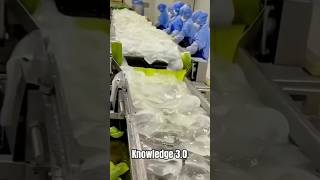 Aloe vera gel making process [upl. by Notfa]