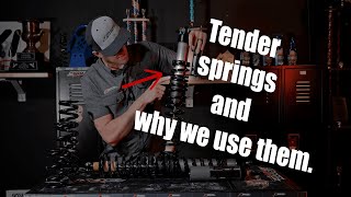 Nate Talks about our Progressive Tender springs [upl. by Eceertal]