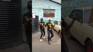 🎶 uzozisola dance trending [upl. by Tuinenga]