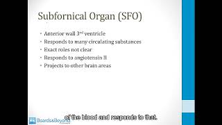 CNS 13 Blood Brain Barrier [upl. by Perdita]