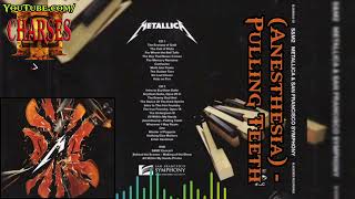 Anesthesia  Pulling Teeth SampM2  Metallica audio [upl. by Lakym449]