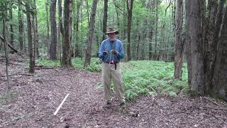 Secrets to Working With Dowsing RodsWith Tips and Exercises [upl. by Nimoynib]