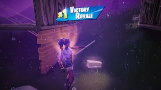 TRACY TROUBLELEBEAUS BO PICKAXE FORTNITE Solo Full Gameplay EpicPartner [upl. by Gesner]