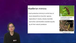 Mullerian Mimicry  Types of Mimicry  CSIR NET Life Science  BYJUS [upl. by Shaff]