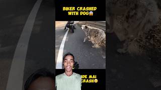 BIKER CRASHED WITH DOG 😨 ACCIDENT HO GAYA😥 modified rr310 rider zx6r kawasaki monsterenergy [upl. by Anirhtak]