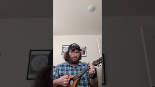 My favorite 4 stringed instrument mandolin mando [upl. by Latsryc875]