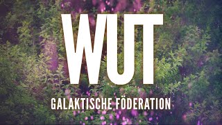 💫 DER GALAKTISCHEN FÖDERATION 💫  WUT  Channeling [upl. by Imled646]