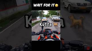 Dog attacked on Kawasaki z900 kutte ne kat liya doglover z900 z10r motovlog superbike shorts [upl. by Nikolaos102]