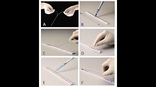 Two dimensional gel electrophoresis Part 1 Isoelectric Focusing IEF [upl. by Mallen]