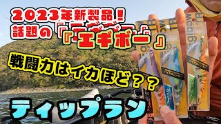 これは釣れる！！こだわりの詰まった新作【エギボー】使ってみました！ティップランエギング インプレッサwrxsti インプレ スポーツパル in 愛媛 [upl. by Bart252]