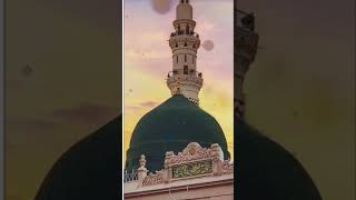 vahan Sarkar Ke Chehre Ki jiyarat Hogi new Naat Sharif 2024Naat Sharif Naat shortIslamic video [upl. by Aiki]