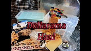 Dollarama Haul [upl. by Nnarefinnej]