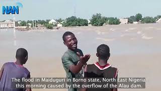 The flood in Maiduguri in Borno state North East Nigeria caused by the overflow of the Lau dam [upl. by Elahcim]