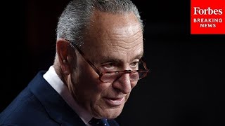 JUST IN Schumer Speaks On Senate Floor After Disastrous Election Night For Democrats [upl. by Onirefez]