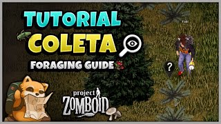 COLETA  Tutorial de Habilidades Project Zomboid  Foraging Guide [upl. by Gilmore]